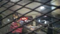 Kasus Korupsi Izin Impor Baja Pejabat Kemendag Boleh Teleponan Di Mobil Tahanan