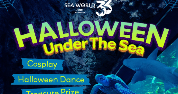 Jelang Akhir Tahun 2025  Ancol Hadirkan Rangkaian Event Edukatif dan Spektakuler