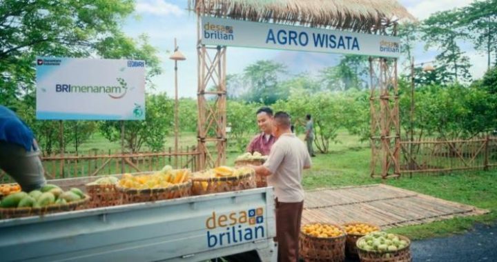 BRI Berdayakan 4 909 Desa BRILiaN  Wujudkan Semangat Asta Cita Pemerataan Ekonomi