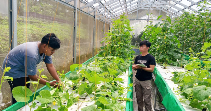 YSPN Latih Pesantren Qamarul Huda Bangun Ketahanan Pangan Sekolah