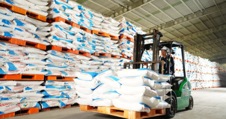 Dari Stok Pupuk yang Menggunung  Semangat Swasembada Pangan Makin Menguat