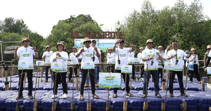 PLN UIP Jawa Bagian Barat Tanam 5 000 Mangrove Di Kawasan Hutan Angke Kapuk