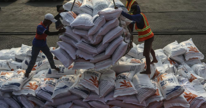 Stok Awal 12 5 Juta Ton  Stop Impor Beras Lanjut Di 2026