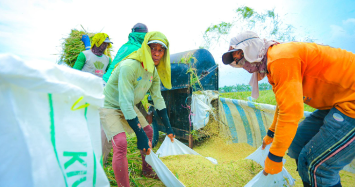 Stok Pangan Cukup  Harga Stabil  Petani hingga Konsumen Bahagia saat Lebaran